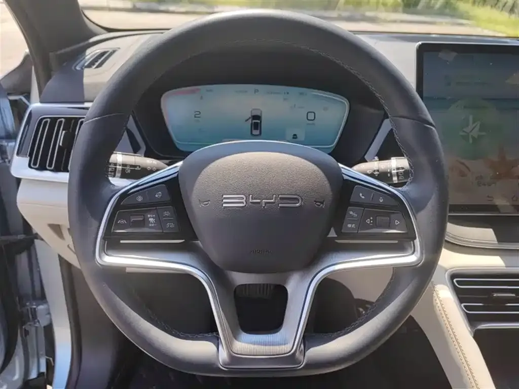 BYD PLUS New Energy 2024 из CN, фото 5