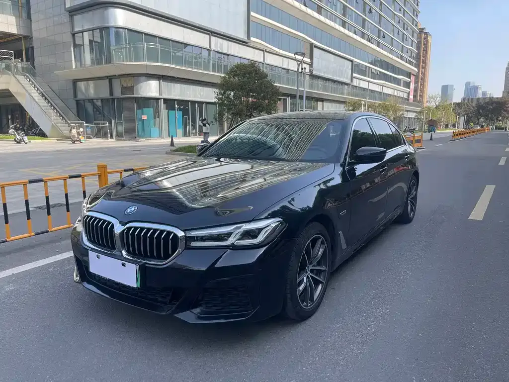BMW 5 Series New Energy 2022 из CN, фото 1