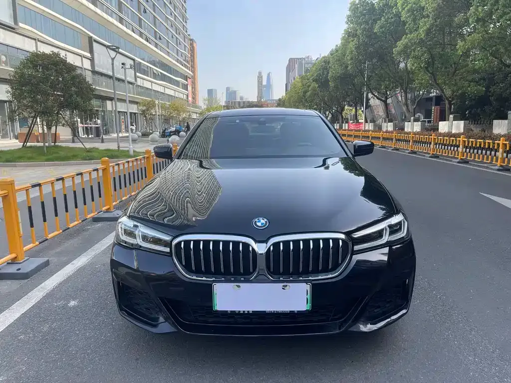 BMW 5 Series New Energy 2022 из CN, фото 5
