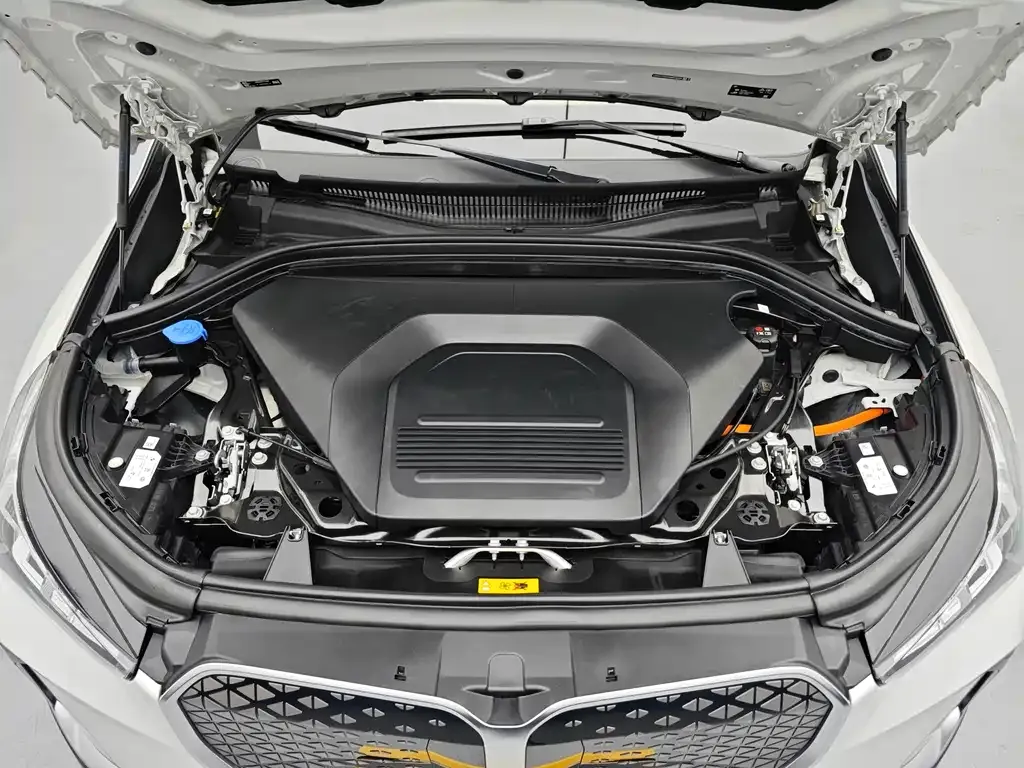 [object Object] iX1 2025 из CN, фото 9