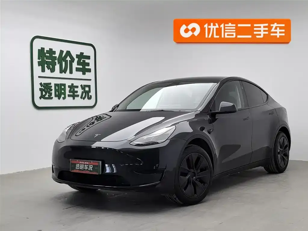 Tesla Model Y — фото 1