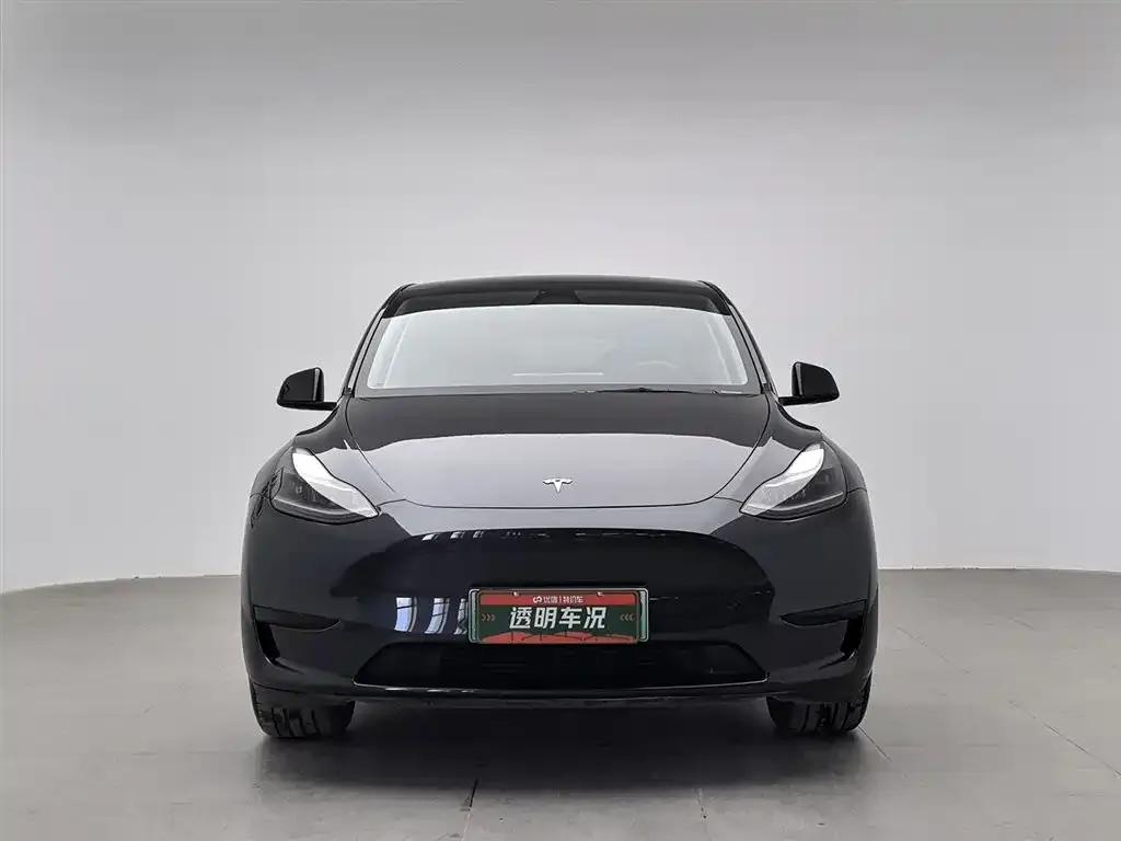 Tesla Model Y — фото 5