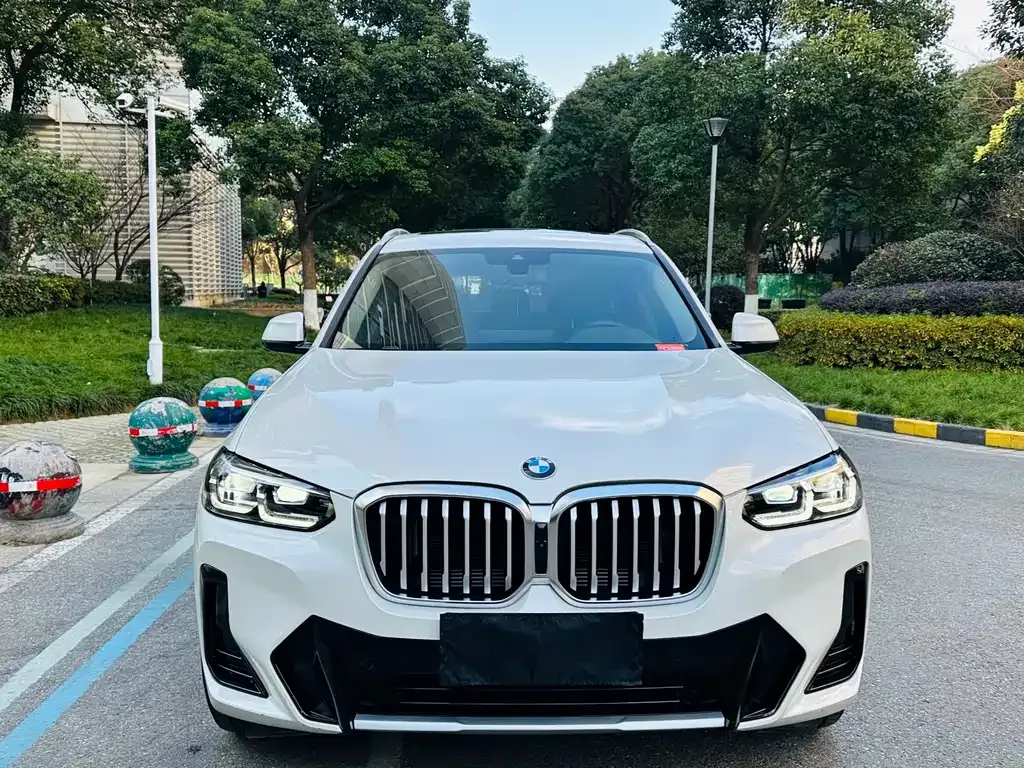 BMW X3 2022 из CN, фото 6