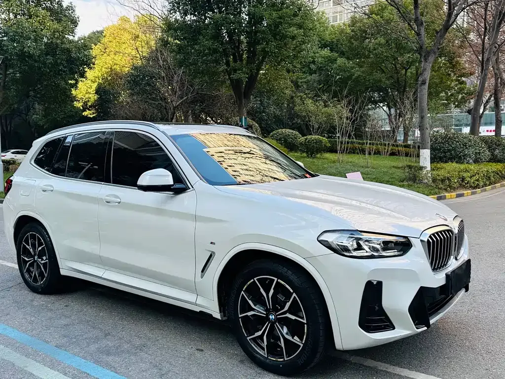 BMW X3 2022 из CN, фото 7