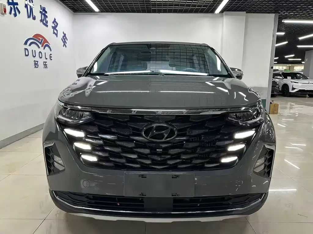 Hyundai Custo — фото 6