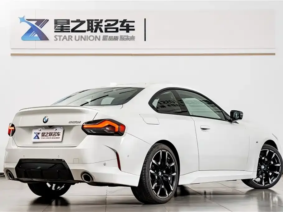BMW 2 Series (Import) — фото 8
