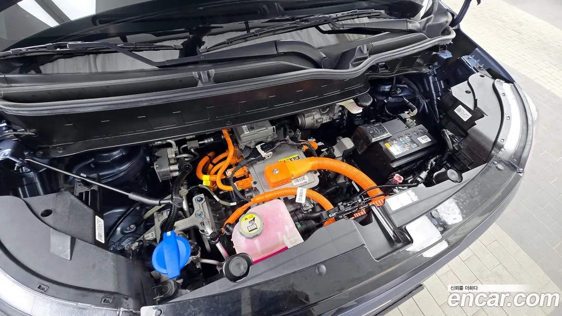 [object Object] RAY 2024 из KR, фото 6