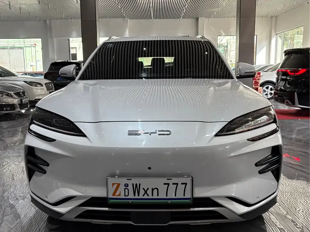 BYD PLUS New Energy — фото 2