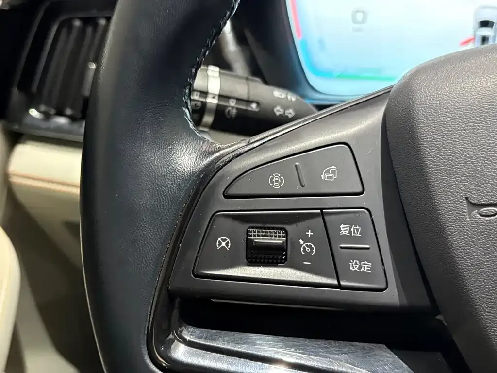 BYD PLUS New Energy — фото 10