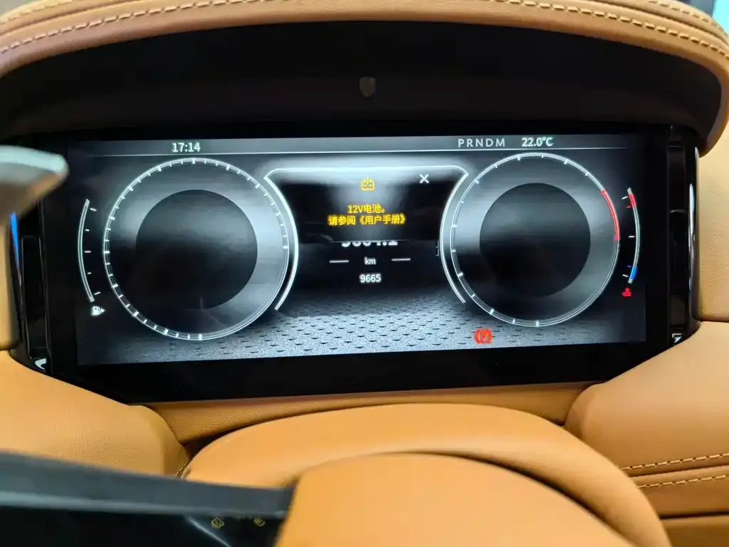 Aston Martin DB12 2024 из CN, фото 4