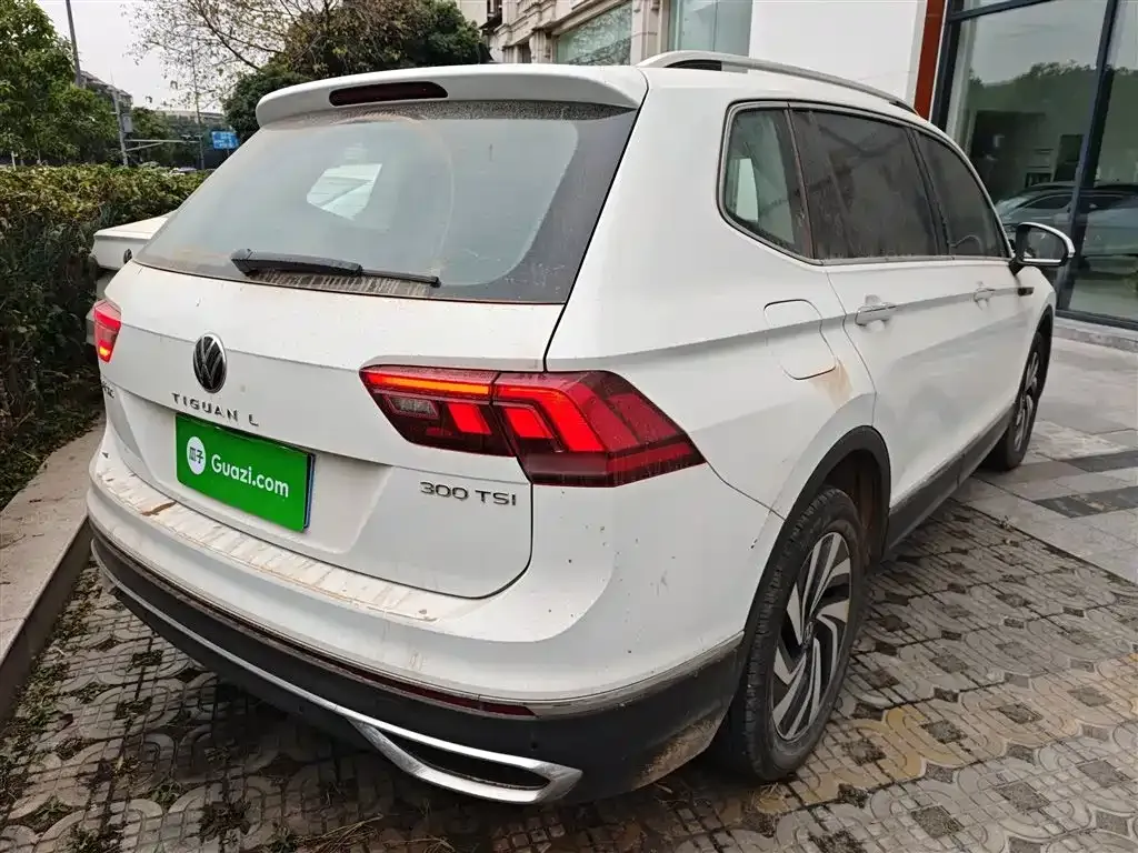 Volkswagen Tiguan L 2023 из CN, фото 9