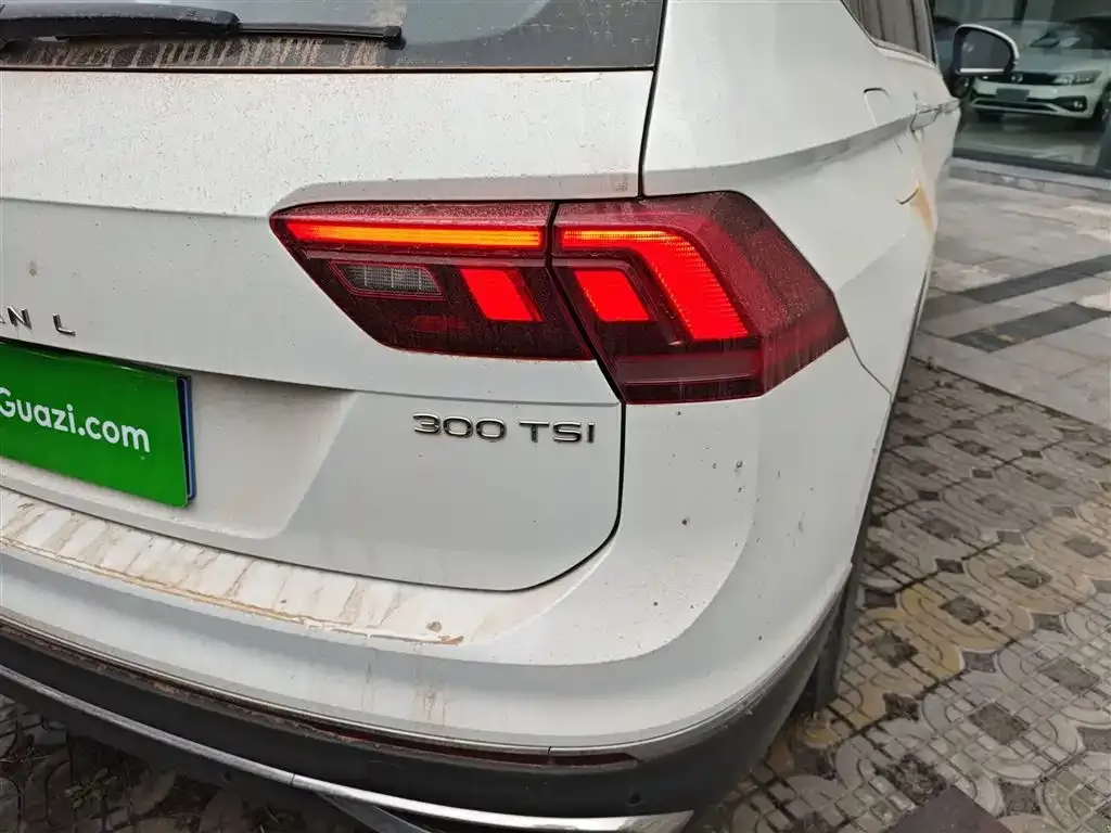 Volkswagen Tiguan L 2023 из CN, фото 6