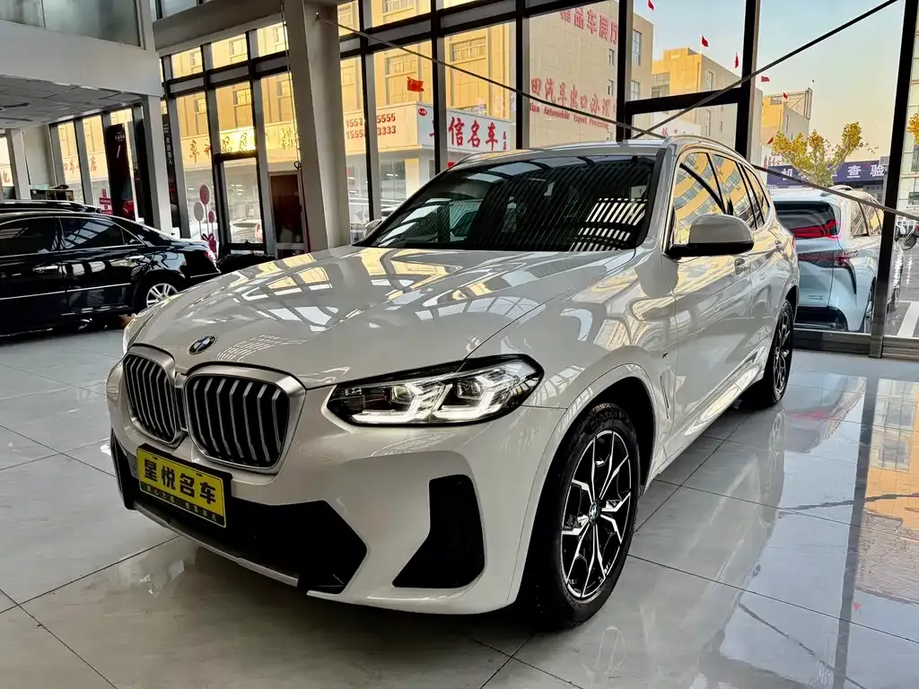 BMW X3 — фото 1