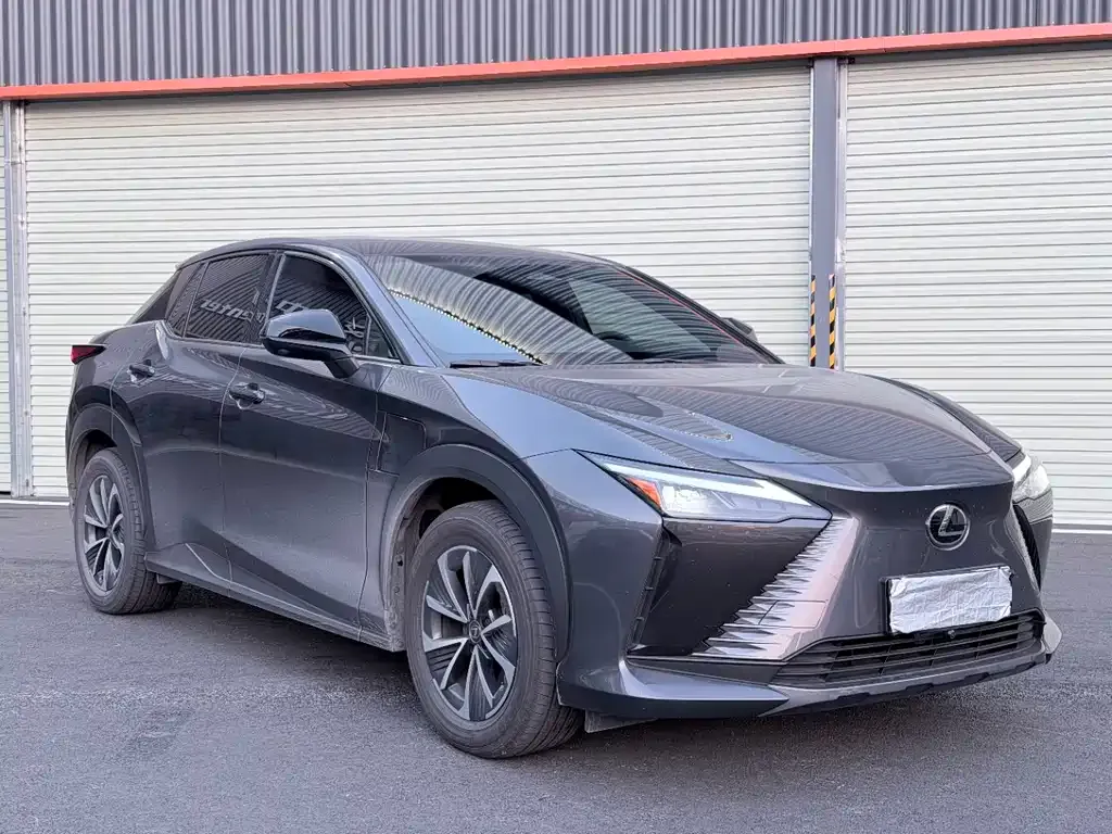 Lexus RZ — фото 9