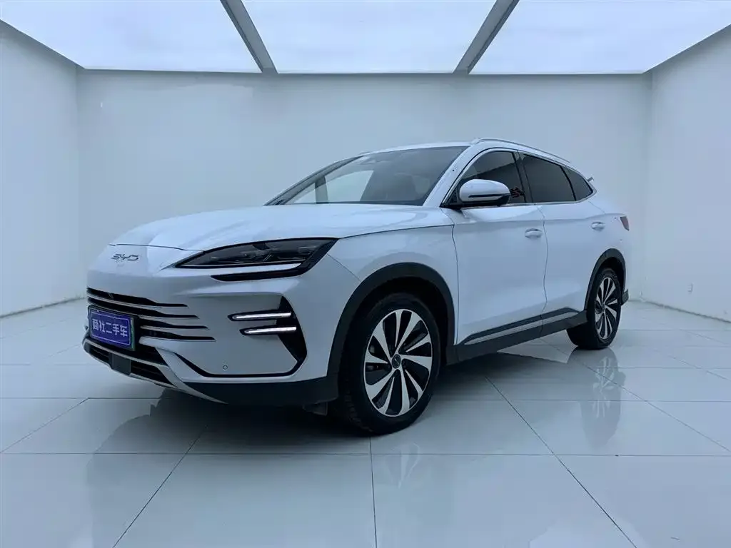 BYD PLUS New Energy — фото 1