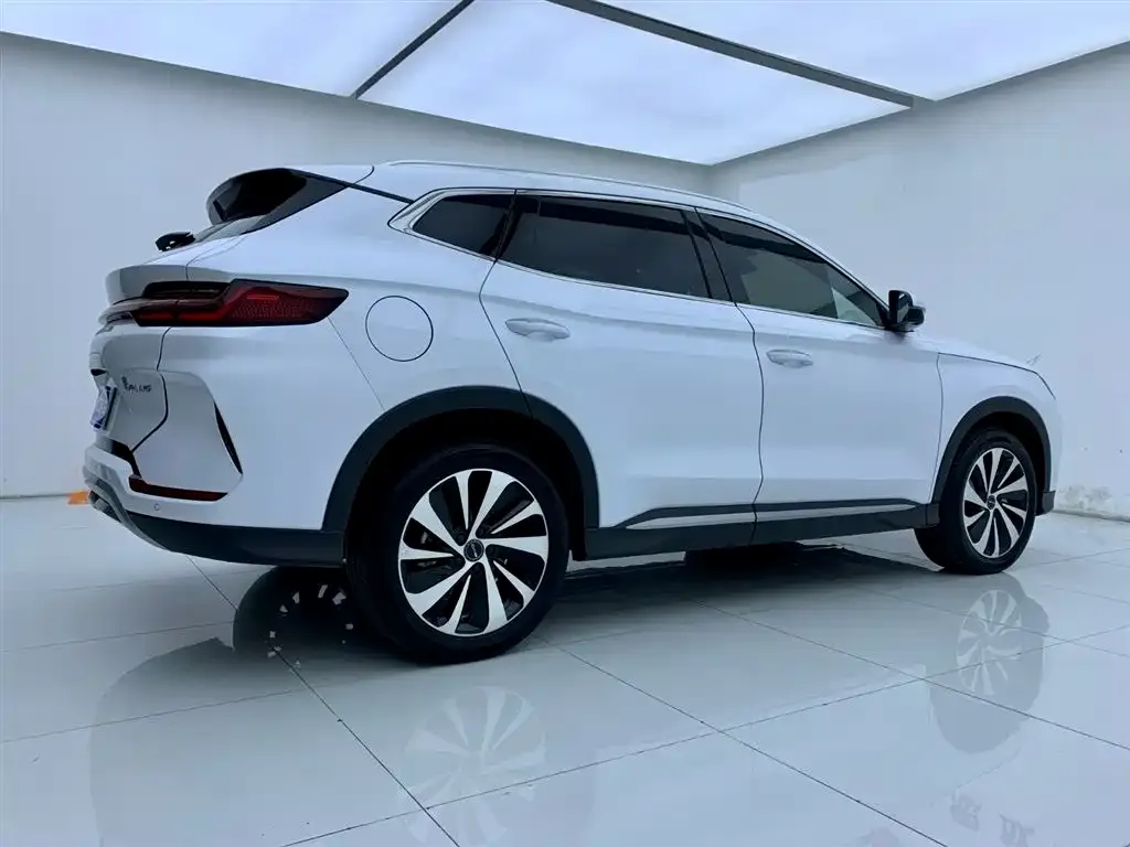 BYD PLUS New Energy — фото 4