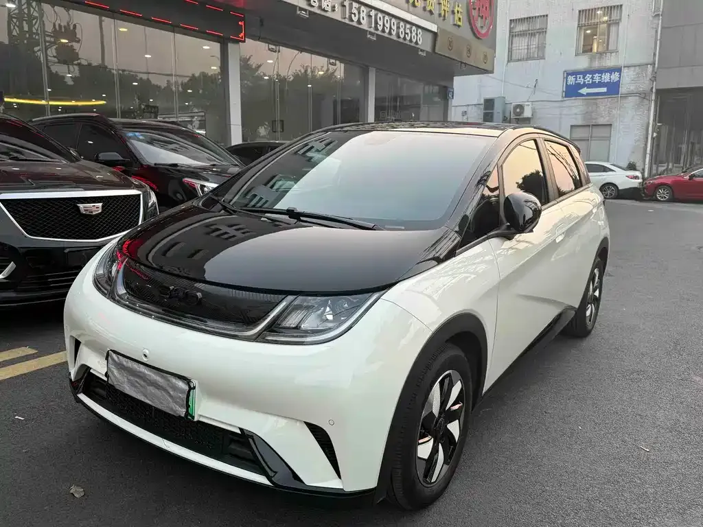 BYD Dolphin 2024 из CN, фото 1