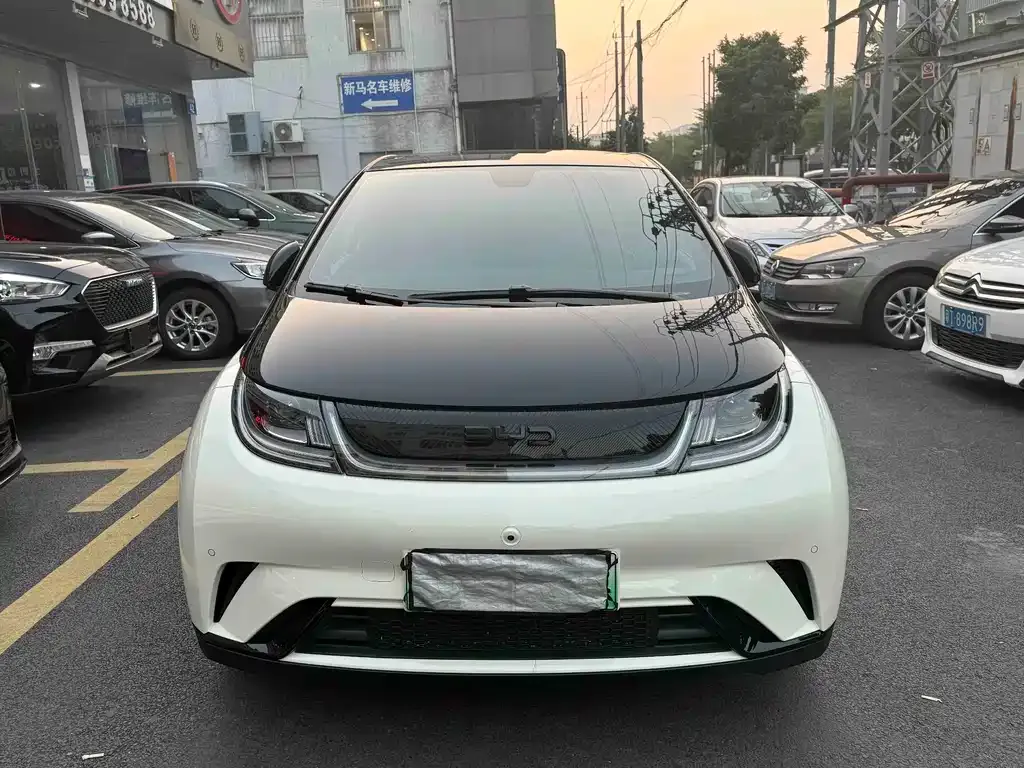 BYD Dolphin 2024 из CN, фото 2