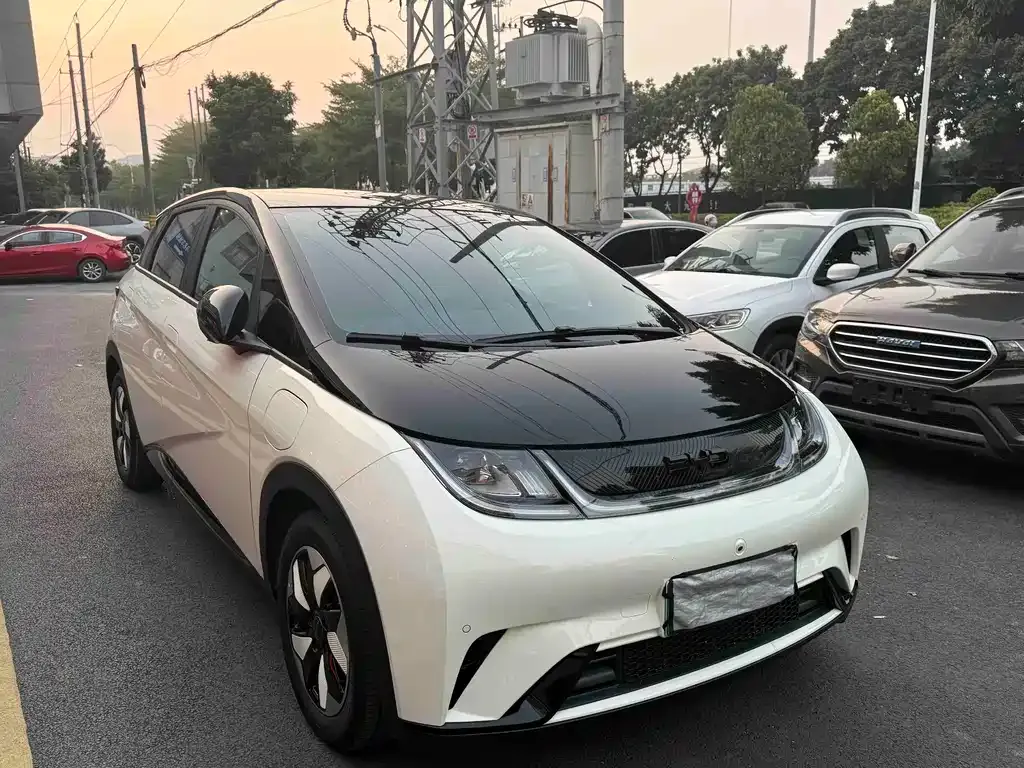 BYD Dolphin 2024 из CN, фото 3