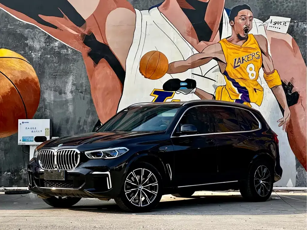 BMW X5 2023 из CN, фото 1