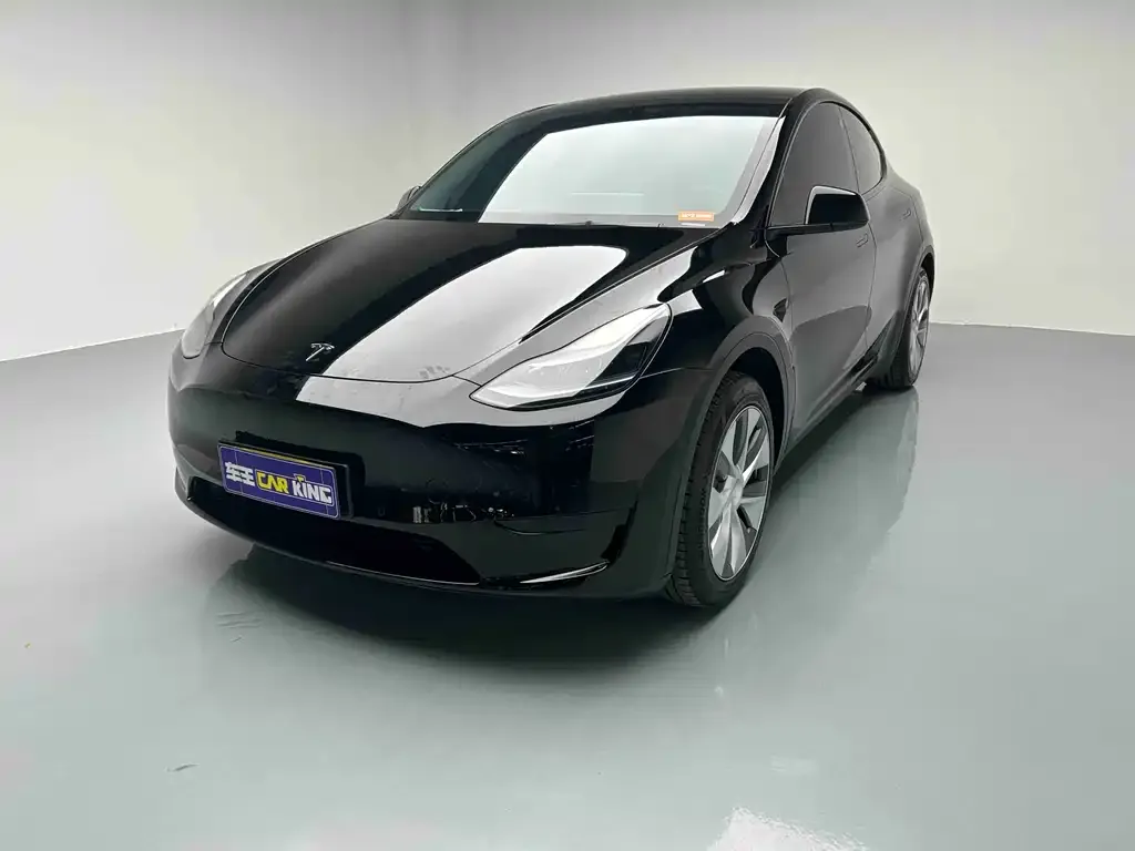 Tesla Model Y 2023 из CN, фото 1