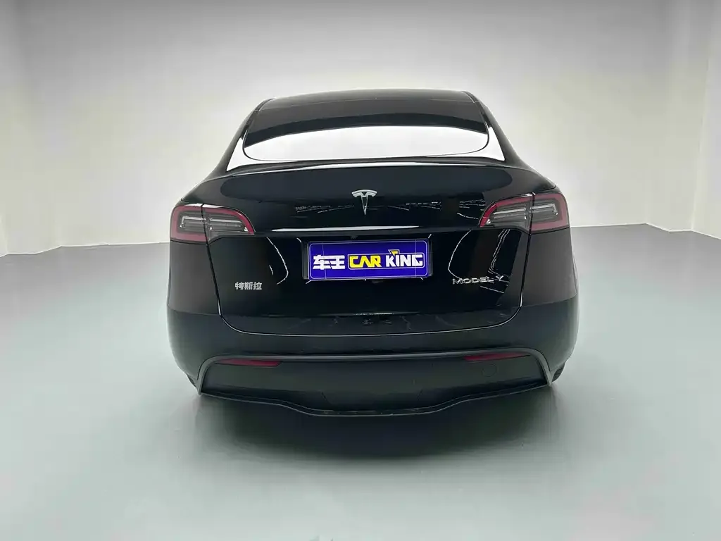 Tesla Model Y 2023 из CN, фото 6