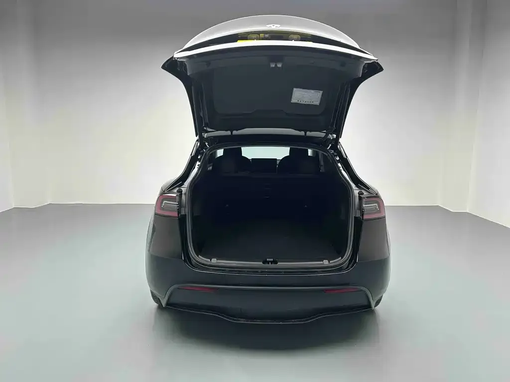 Tesla Model Y 2023 из CN, фото 2