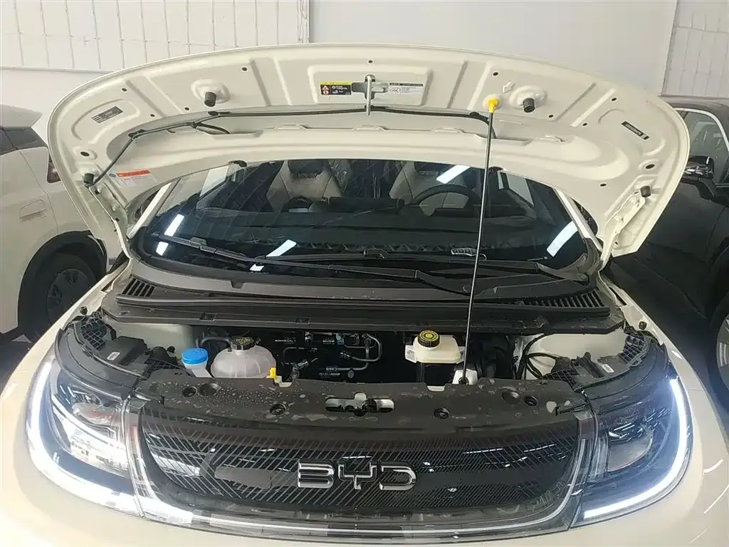 [object Object] Dolphin 2025 из CN, фото 10