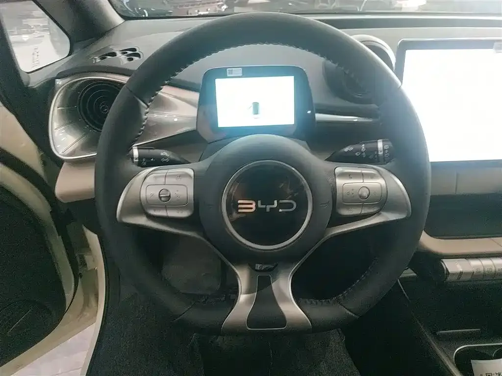 [object Object] Dolphin 2025 из CN, фото 3