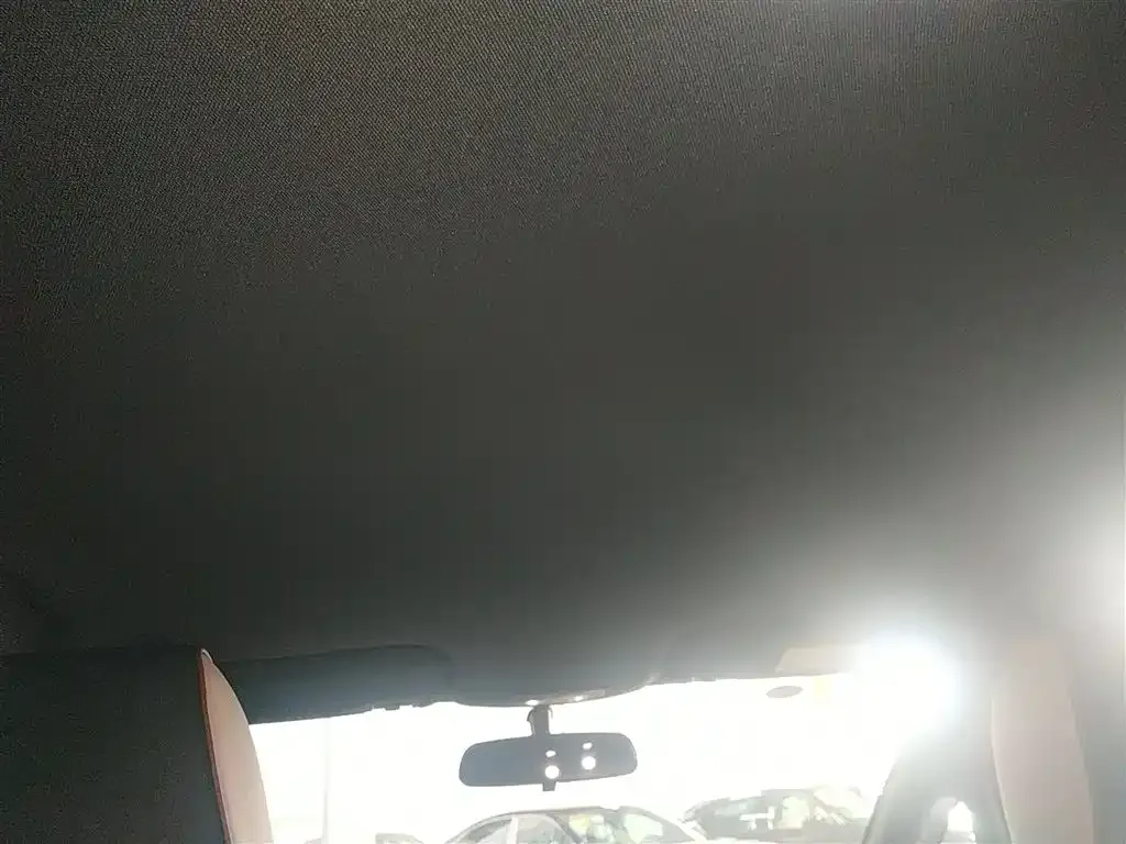 [object Object] Dolphin 2025 из CN, фото 8