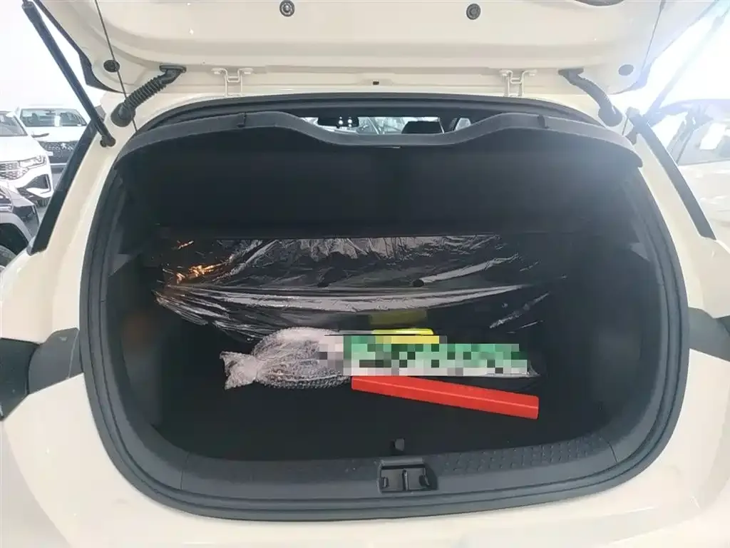 [object Object] Dolphin 2025 из CN, фото 9