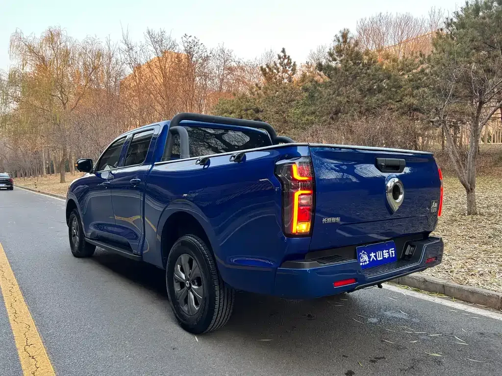 Great Wall Pao 2024 из CN, фото 10