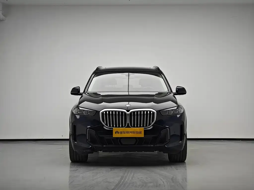 BMW X5 — фото 5