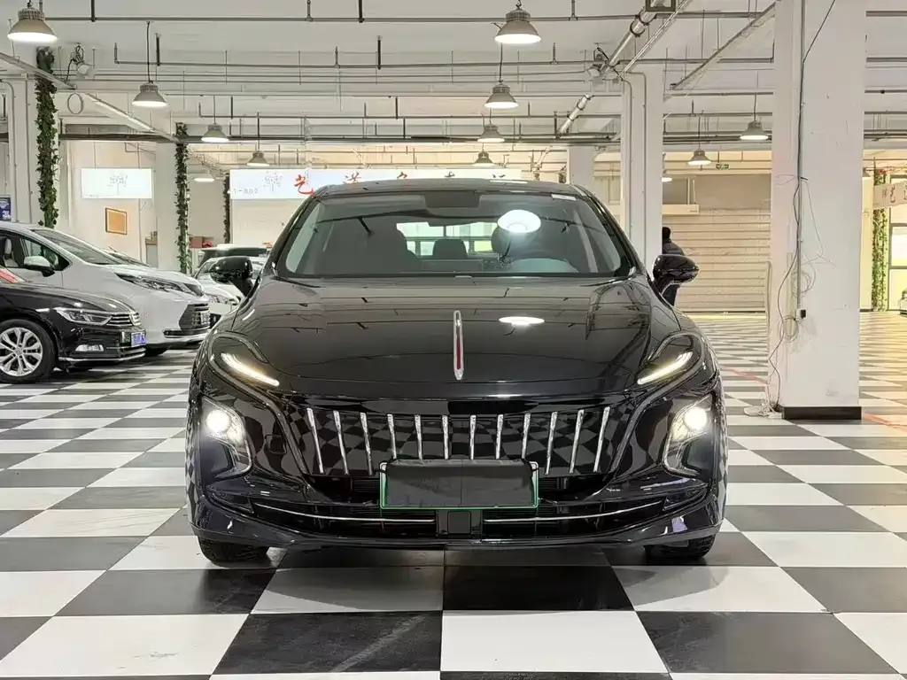 Hongqi E-QM5 2023 из CN, фото 9