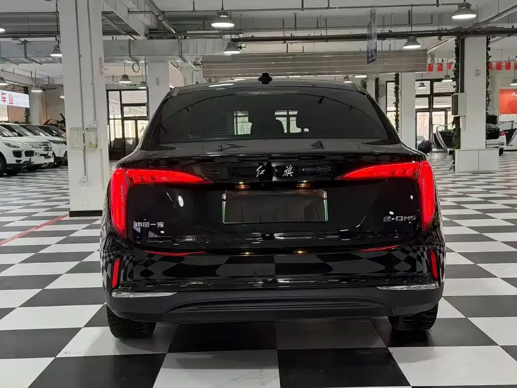 Hongqi E-QM5 2023 из CN, фото 7