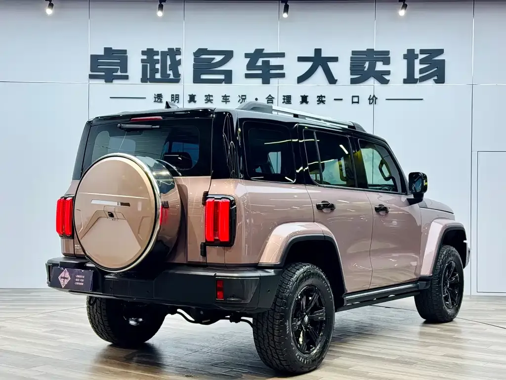 Tank 300 — фото 3