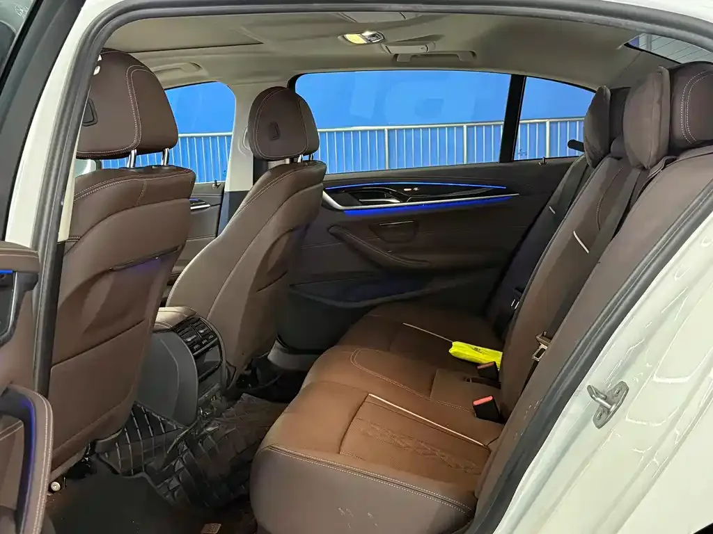 BMW 5 Series 2021 из CN, фото 6
