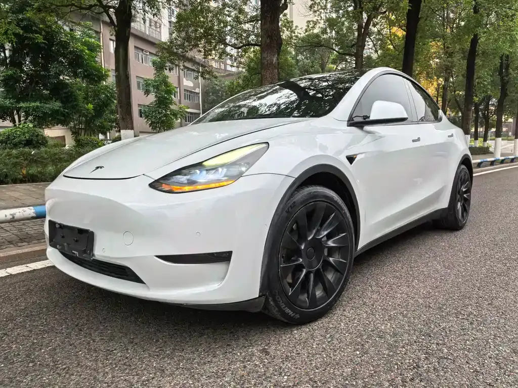 Tesla Model Y — фото 1