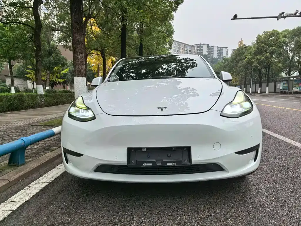 Tesla Model Y — фото 2