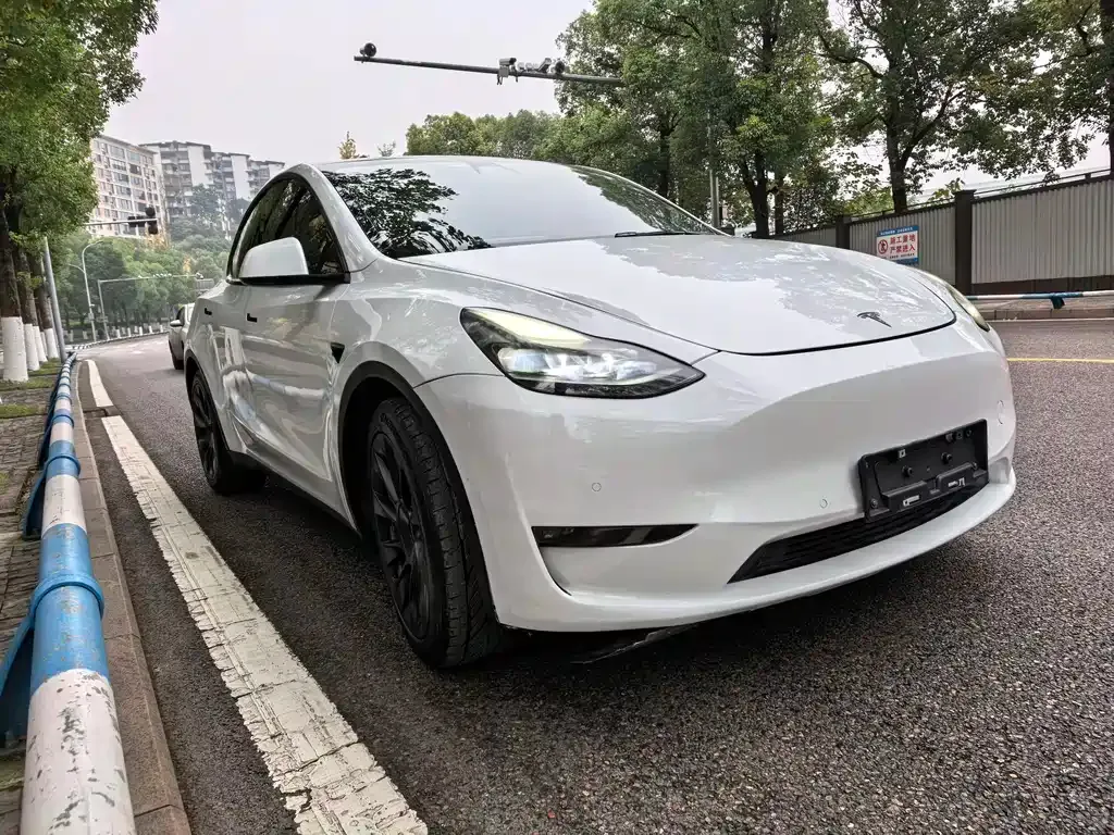 Tesla Model Y — фото 3