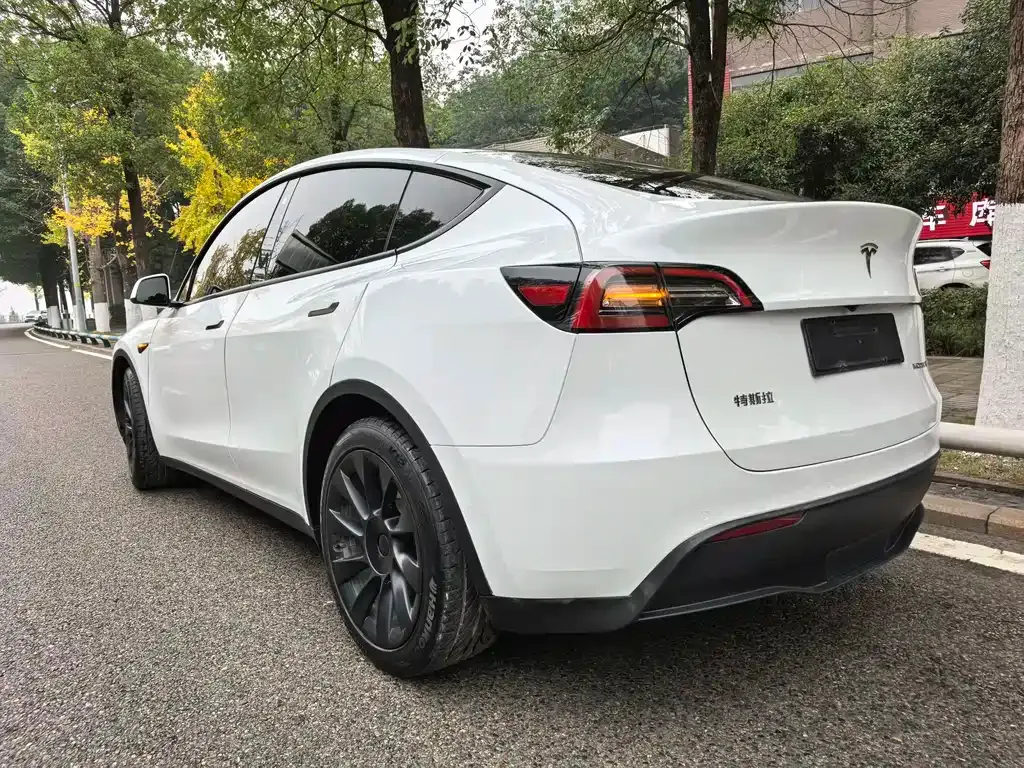 Tesla Model Y — фото 7