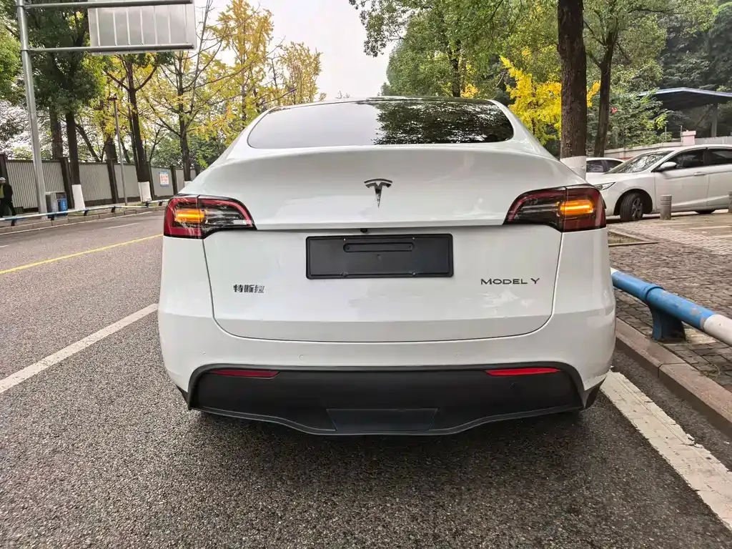 Tesla Model Y — фото 8