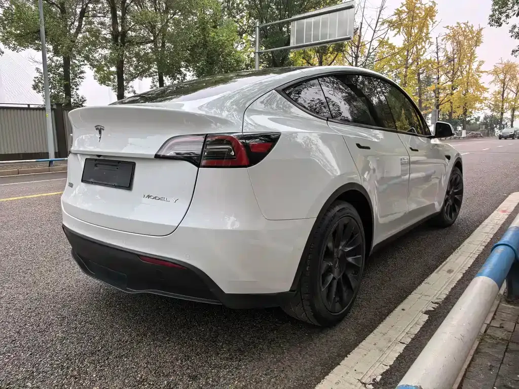 Tesla Model Y — фото 9