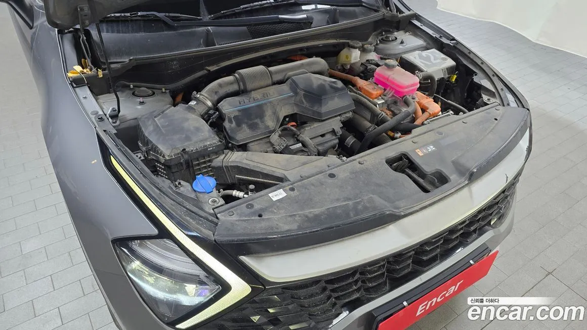 Kia Sportage — фото 8