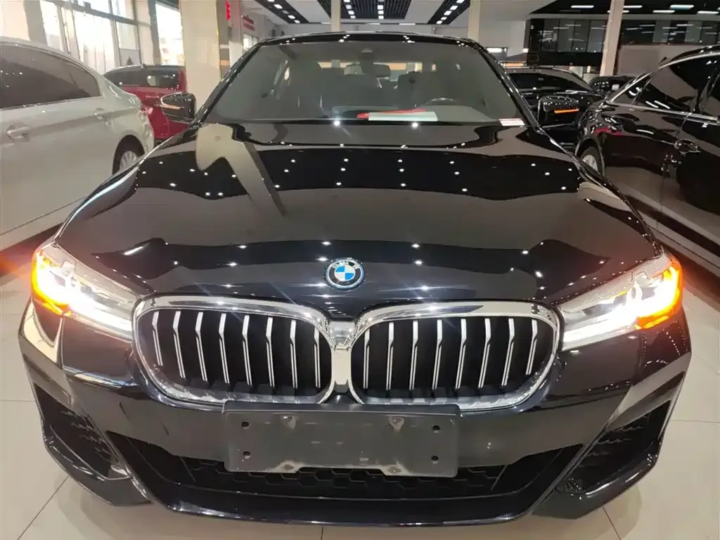 BMW 5 Series New Energy — фото 4
