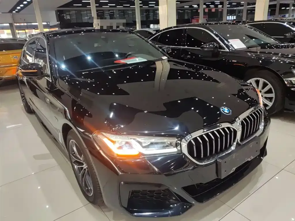 BMW 5 Series New Energy — фото 3