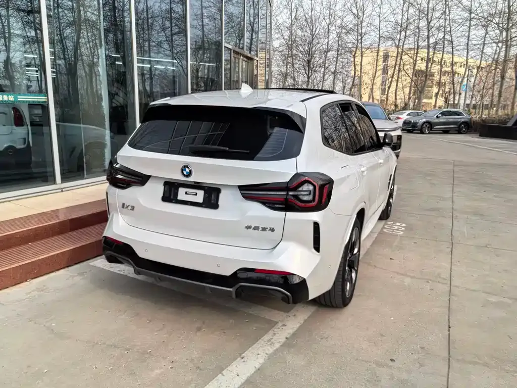 [object Object] iX3 2023 из CN, фото 5