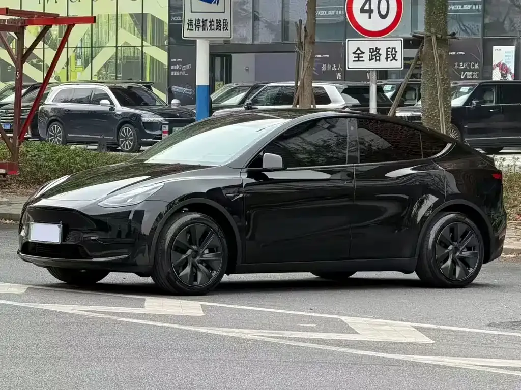 Tesla Model Y 2024 из CN, фото 1