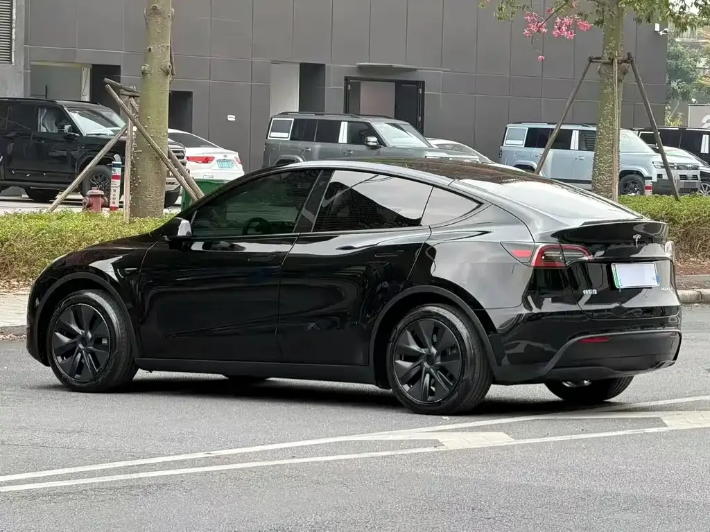 Tesla Model Y 2024 из CN, фото 8