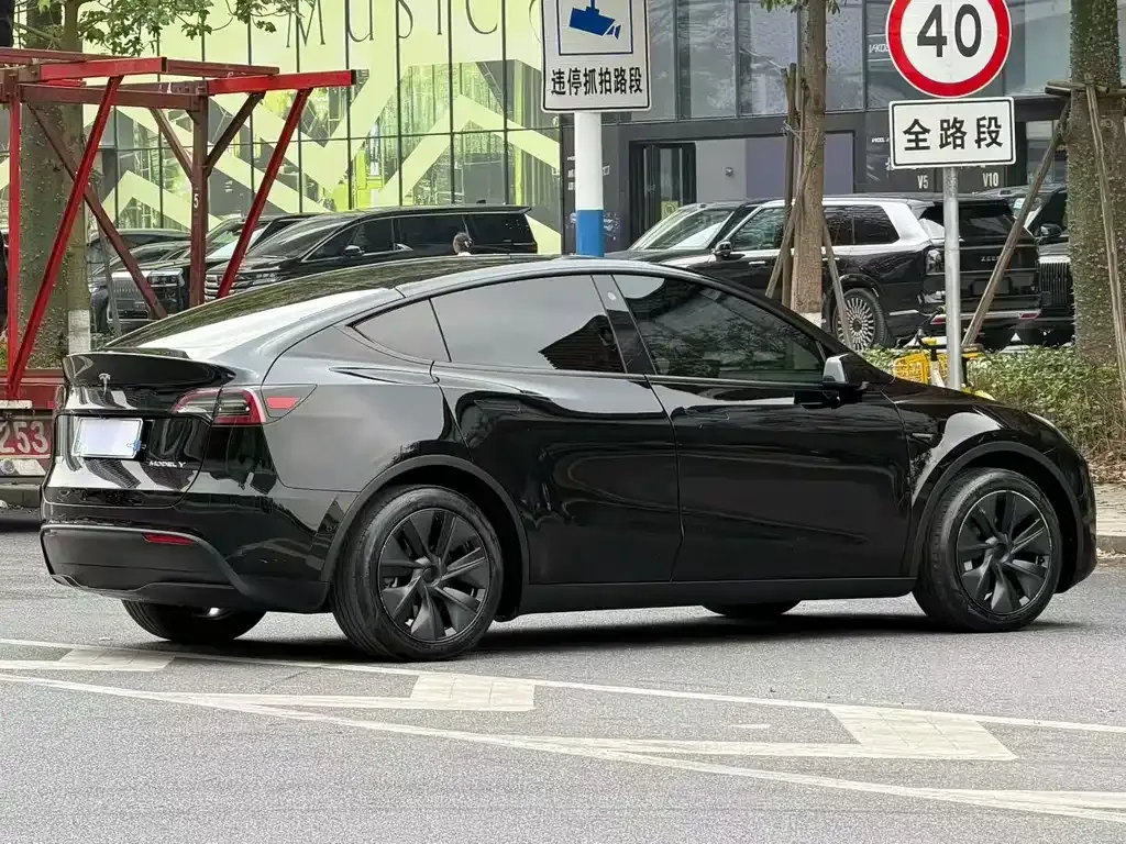 Tesla Model Y 2024 из CN, фото 6